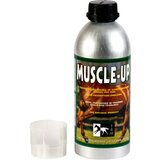 TRM Muscle Up Cene