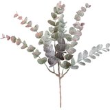 Modern Living Okrasna Vejica Eukalyptuszweig I -Paz- | Shoptok.si