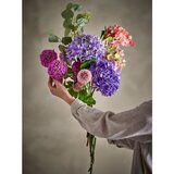 Bloomingville Umjetna biljka (visina 80 cm) Edge – | shoptok.hr