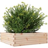  Vrtna sadilica 80 x 80 x 23 cm od masivne borovine | shoptok.hr