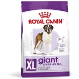 Royal_Canin Giant Adult - 15 kg + 3 kg gratis!