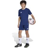 Adidas Športne hlače 'ENT26' temno modra / bela | Shoptok.si