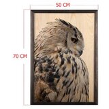 WALLXPERT dekorativna uramljena drvena slika owl xl | ePonuda.com