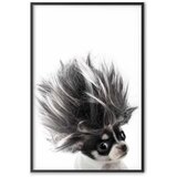  Plakat - Chihuahua 21x30 Crni okvir | shoptok.hr