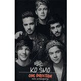 BDR Grupa autora
 - One Direction - Ko smo - naša autobiografija cene
