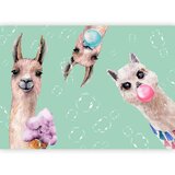  Foto tapeta - Crazy Llamas 150x105 Standard | shoptok.hr