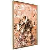  Poster - Drops on Dandelion 40x60 Cijene