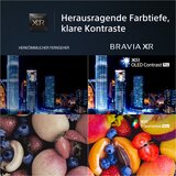 Sony XR-77A95L | Shoptok.si