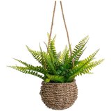Casa Selección Umetna praprot (višina 25 cm) – Cene