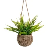 Umjetna paprat (visina 25 cm) –