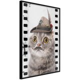  Poster - Dressed Up Cat 20x30 | shoptok.hr