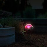  Solarna baštenska lampa u više oblika DS002 | Eponuda.com