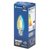 Aigostar led sijalica filament C35 E27/4,5W/230V 2700-6500K | Eponuda.com