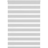 vidaXL Zavjesa zebra 110x100 cm širina tkanine 105,9 cm poliester Cijene