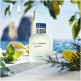D&g Light Blue Eau de Toilette for Men 125 ml | shoptok.hr