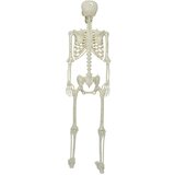 Halloween Skelet Bijelo 155 x 38.5 cm Plastika | shoptok.hr