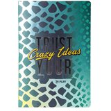 Play premium, sveska metalik, A4, dikto, 40 lista, Geometric Crazy ideas Cene