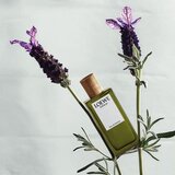 Loewe Miniature Set darilni set uniseks | Shoptok.si
