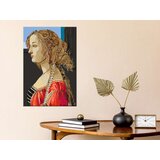  Slika za samostalno slikanje - Simonetta Vespucci 40x60 | shoptok.hr