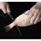 Smania nož za filetiranje SharpRay | ePonuda.com