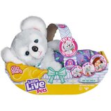 Dexyco Cozy Dozy koala Cijene