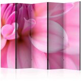  Paravan u 5 dijelova - Flower petals - dahlia II [Room Dividers] 225x172 Cijene