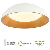  led plafonska lampa FK2005-66C wh Cene