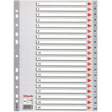 Pregrada plastična a4 brojevi 1-20 esselte 100107 siva | Shoptok.si