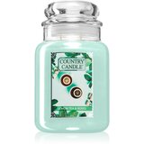 Country Candle Lemon Tea & Roses mirisna svijeća 737 g | shoptok.hr
