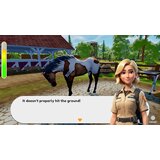 Aerosoft Sophia's Animal Clinic (Nintendo Switch) | shoptok.hr