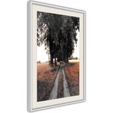  Poster - Field Path 30x45 | shoptok.hr