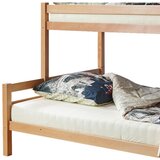 MID.YOU Pograd Maxim, Bukev, Masivno | Shoptok.si