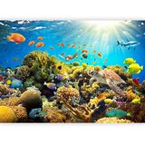  Foto tapeta - Underwater Land 500x350 | shoptok.hr