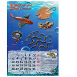  KALENDAR "RIBARNICA 2026" 13 LISTOVA, SPIRALA | shoptok.hr