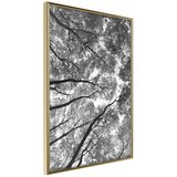  Poster - Lying on the Grass 30x45 | shoptok.hr