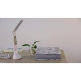 Globo LED-SVETILKA ZA PISALNO MIZO 20/9/42,5 cm | Shoptok.si