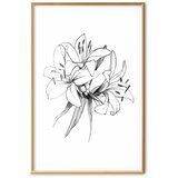  Plakat Drawn Flowers 29.7x42 Zlatni okvir | shoptok.hr