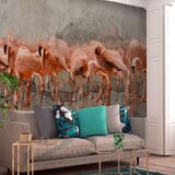  Tapeta - Flamingo Lake 300x210 Cijene