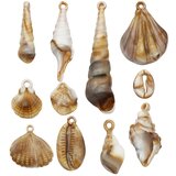 INF Akrilni obesek v obliki školjke za izdelavo DIY nakita - 5 cm, (22104565) | Shoptok.si