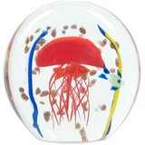 Signes Grimalt Medusa Paperweight Multicolour Cijene