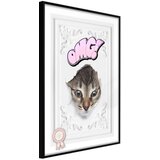  Poster - Peek-a-Boo! 40x60 | shoptok.hr