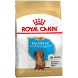 Royal Canin Dachshund Puppy - 1,5 kg | shoptok.hr