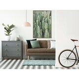  Poster - Cactus Plantation 30x45 | shoptok.hr