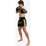 Benlee Lonsdale Men's thaibox trunks | Shoptok.si