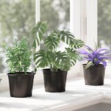  Okrugla saksija za cveće 200 pcs Crna Ø 10 x 8 cm Plastika | shoptok.hr