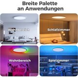 Aphyni RGB LED stropna svetilka 24 W 30 cm z upravljanjem prek aplikacije | Shoptok.si