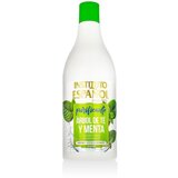 Instituto Espanol Tea Tree & Mint Purifying Shampoo 750 ml šampon masna kosa unisex | shoptok.hr