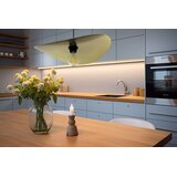 Toolight Stropni luster APP1470-1CP BLACK/OLD GOLD | shoptok.hr