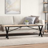 vidaXL Klubska mizica X okvir 160x40x45 cm trdna borovina lito železo Cene