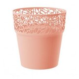 Prosperplast saksija tre 15X15CM breskva pr DTRE145-488U